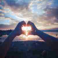 高‍效‌网﻿站​监﻿控﻿插‌件‍有﻿哪​些​